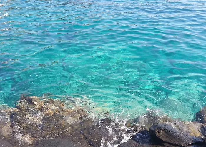 Sunset Paradise 아데제